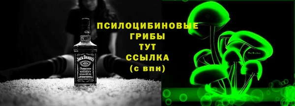 амф Нязепетровск