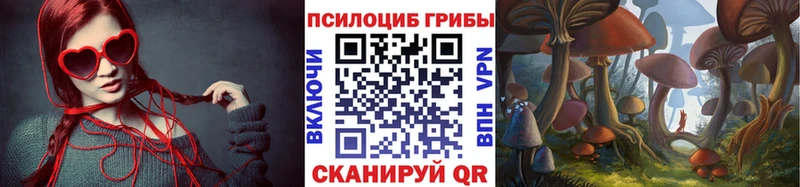 Псилоцибиновые грибы GOLDEN TEACHER  Коломна 