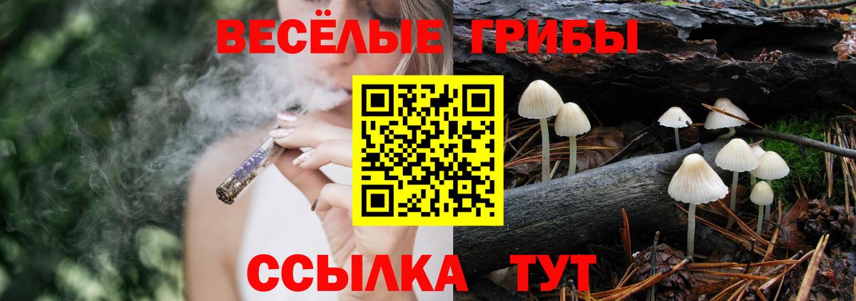 Галлюциногенные грибы Psilocybine cubensis  Вход с VPN  Галлюциногенные грибы Cubensis  Коломна 