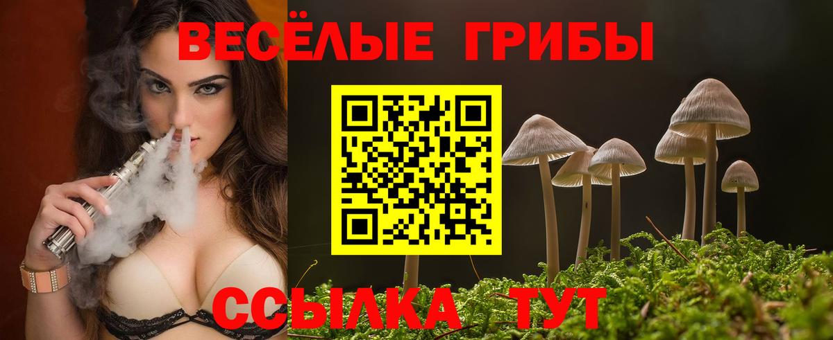 Галлюциногенные грибы Psilocybine cubensis Коломна